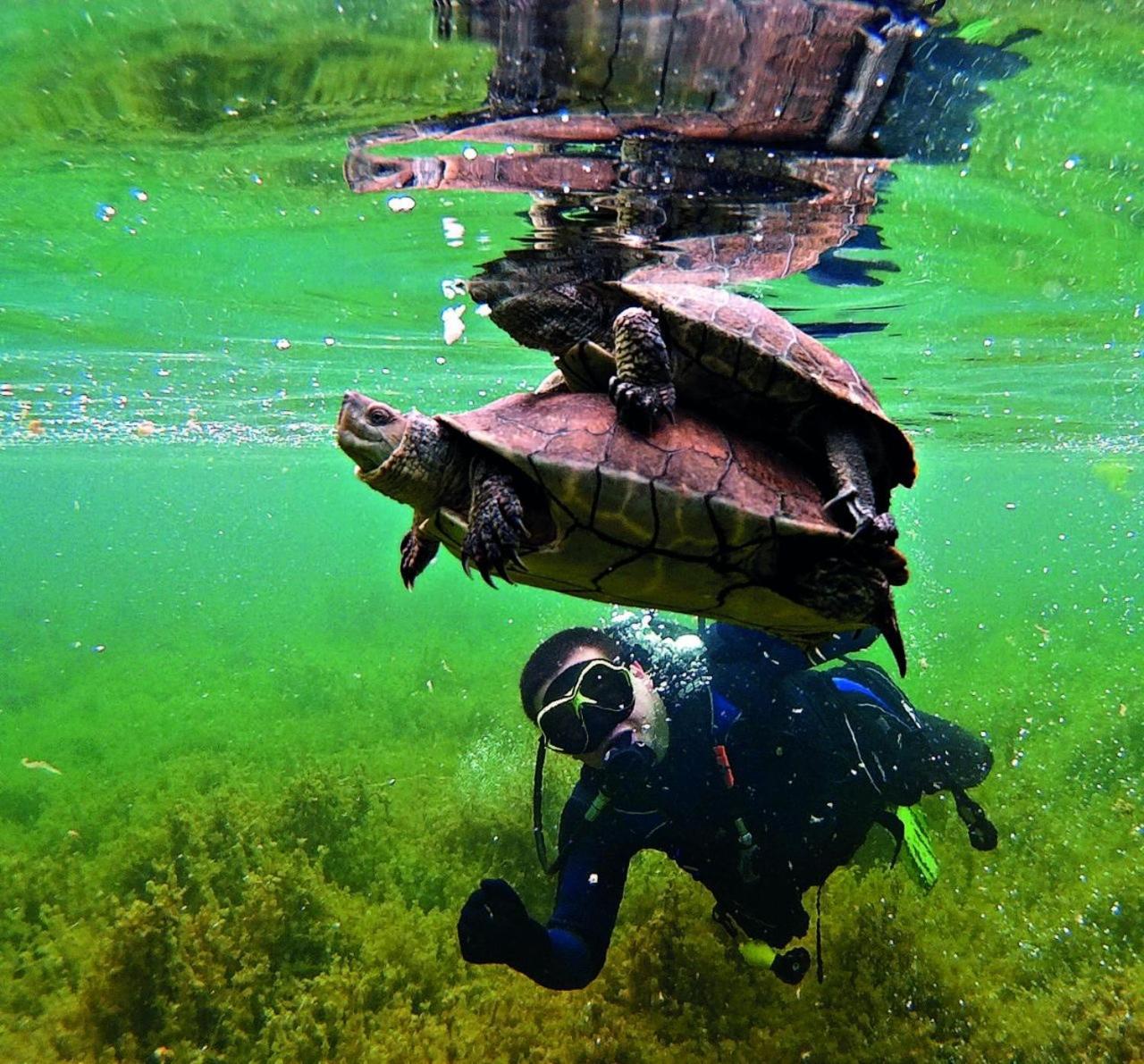Villa Tranquila Lagunas De Ruidera Ossa de Montiel Buitenkant foto