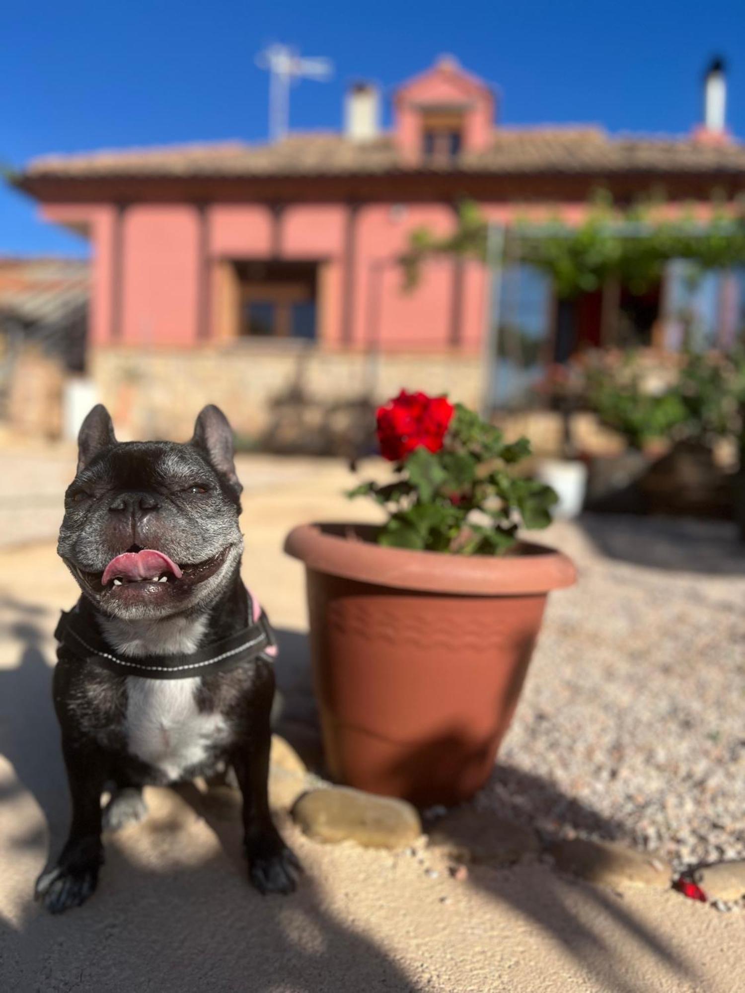 Villa Tranquila Lagunas De Ruidera Ossa de Montiel Buitenkant foto